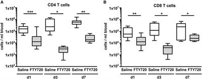 Peripheral T Cell Depletion by FTY720 Exacerbates Hypoxic-Ischemic Brain Injury in Neonatal Mice